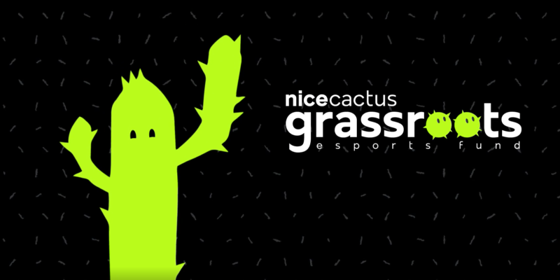 nicecactus grassroots series a
